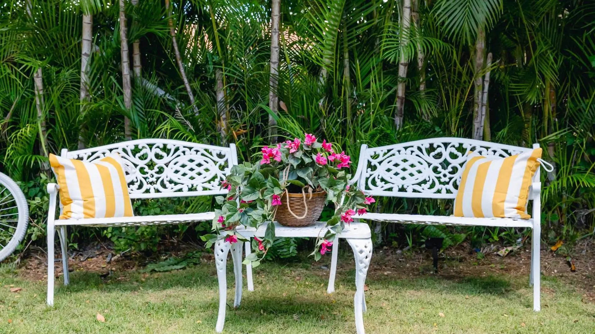 A Guest Dream Villa Blue Punta Cana Village Dominican Republic